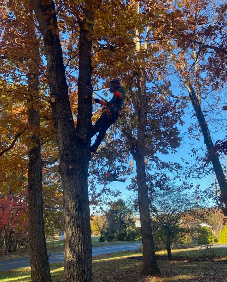 service-1 whatsapp image 2026 02 23 at 9.57.54 am