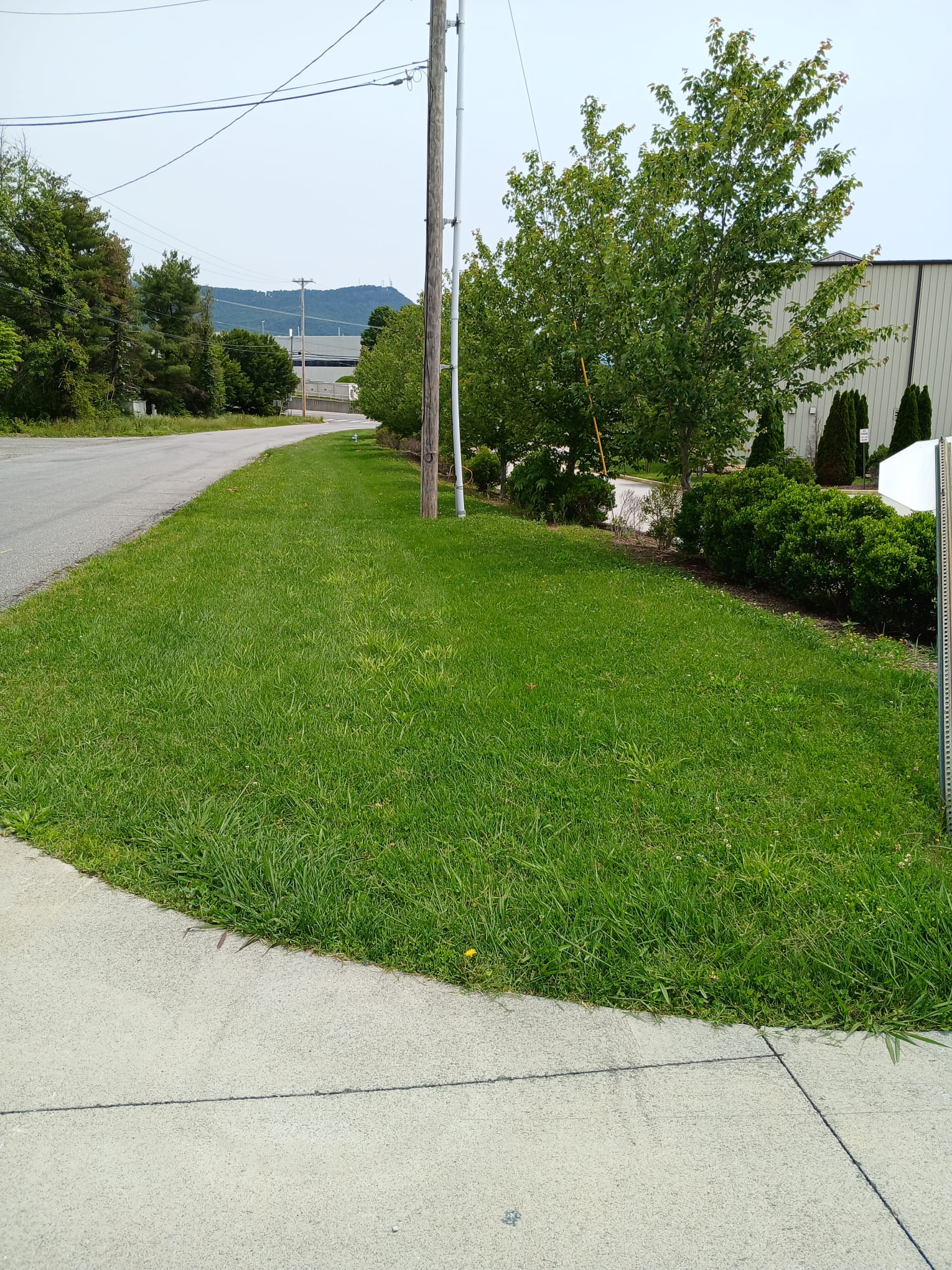 Home Professional Lawn Mowing for a Healthy, Beautiful Yard